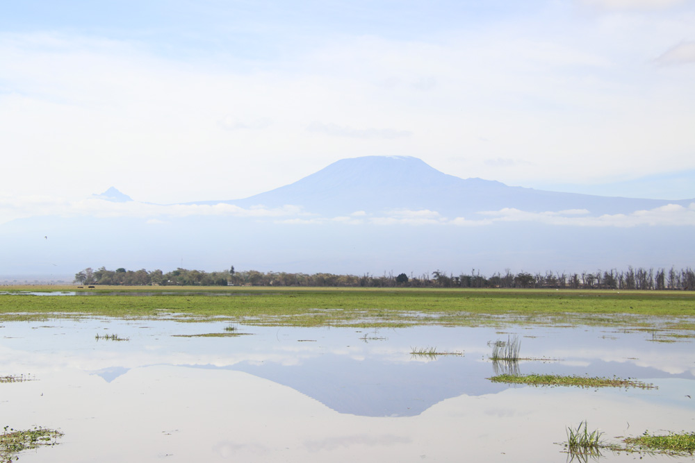 Amboseli National Park IMG 2961