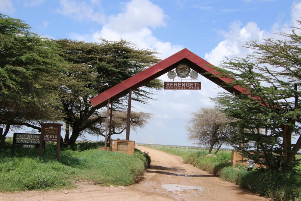 Serengeti Park Entrance From Ngorongoro Conservation Area