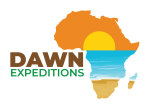 dawn logo 2023 01