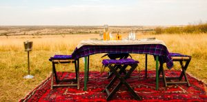 bush breakfast