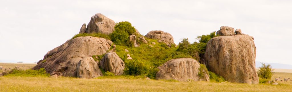 kopjes rocks kopjes rocks