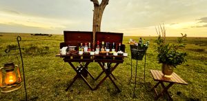 sundowner3