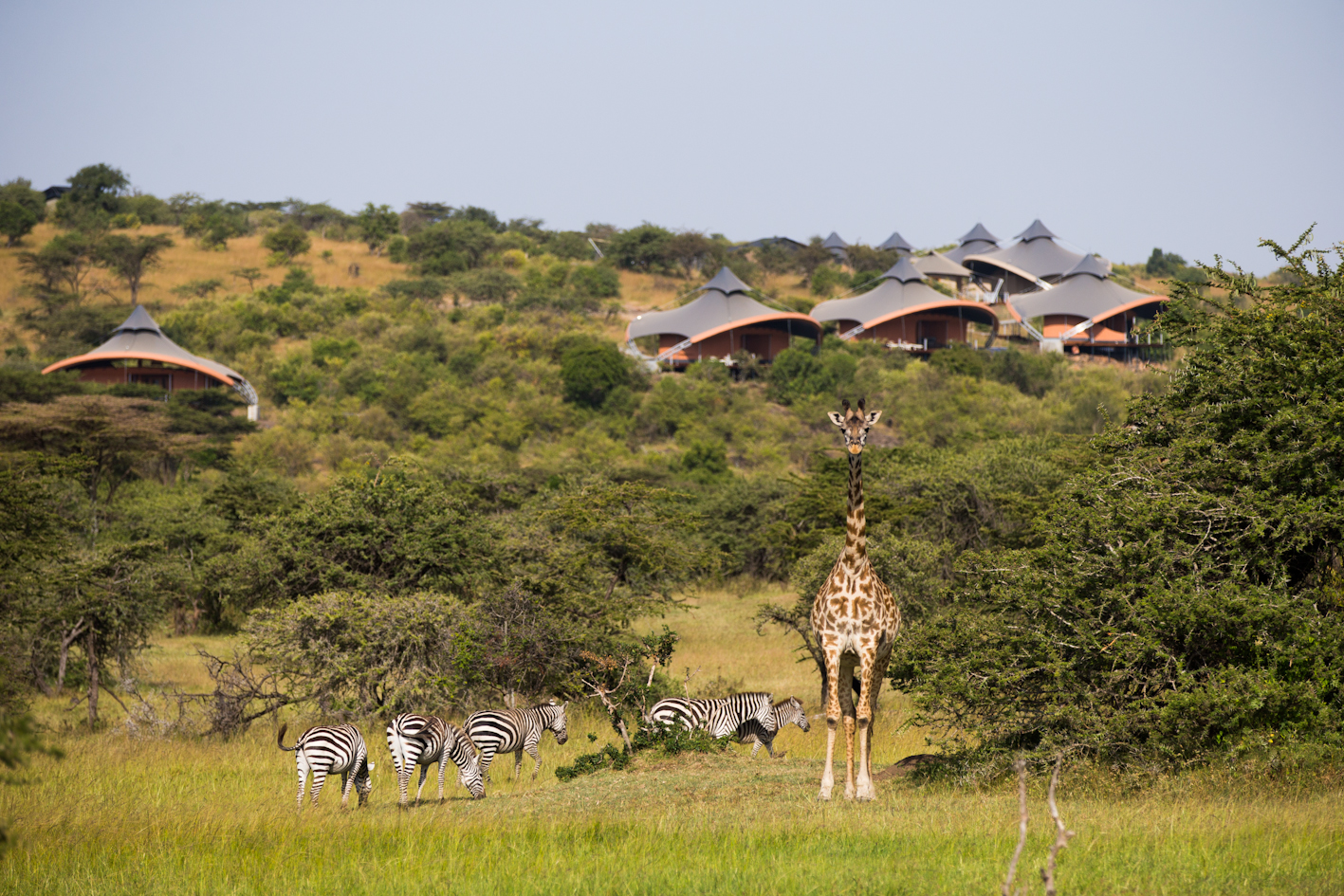 mahali mzuri 2013 jb 1545